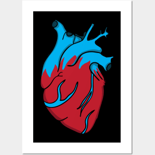 Bluish heart Posters and Art